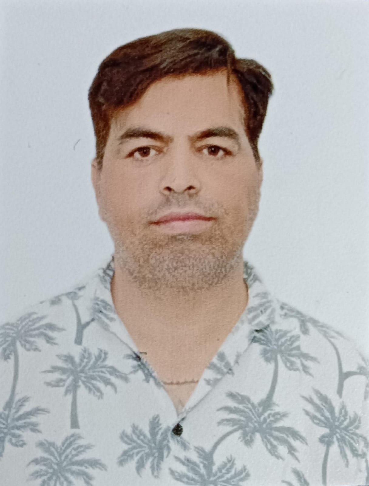 no images